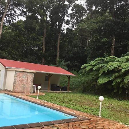 Saint-Joseph Les Lucioles 1 Beau T2 En Foret Tropicale Avec Acces Piscine מראה חיצוני תמונה