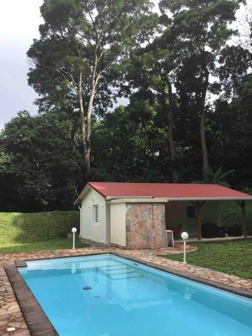 Saint-Joseph Les Lucioles 1 Beau T2 En Foret Tropicale Avec Acces Piscine מראה חיצוני תמונה
