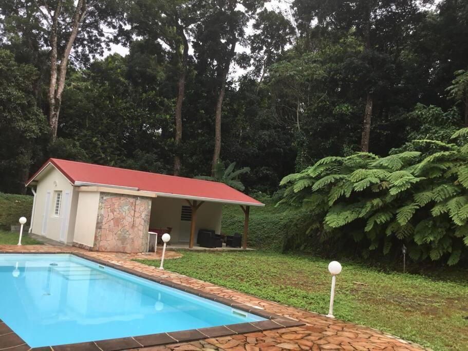Saint-Joseph Les Lucioles 1 Beau T2 En Foret Tropicale Avec Acces Piscine מראה חיצוני תמונה