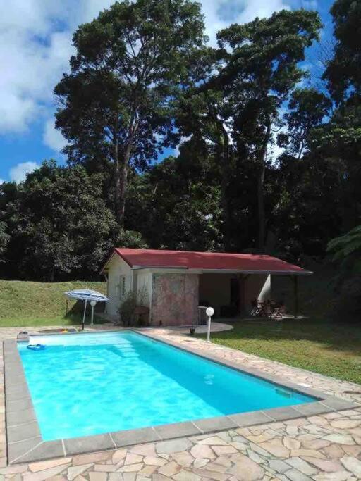 Saint-Joseph Les Lucioles 1 Beau T2 En Foret Tropicale Avec Acces Piscine מראה חיצוני תמונה